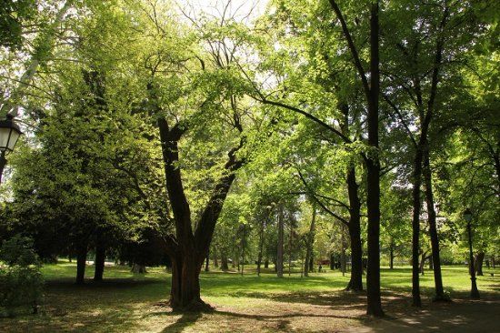 Muzeul de Artă Contemporană din Belgrad